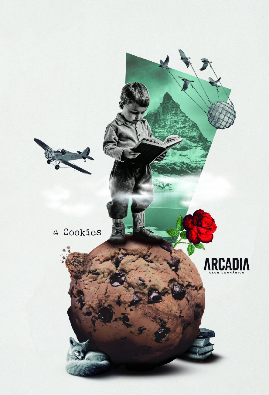 Etiqueta oficial de Cookies